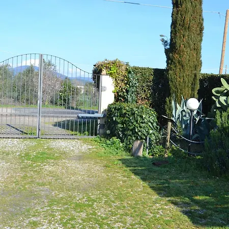 Bernardinigroup * Campiglia Marittima