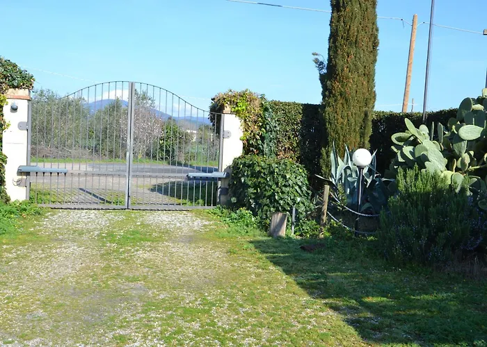 Bernardinigroup * Campiglia Marittima