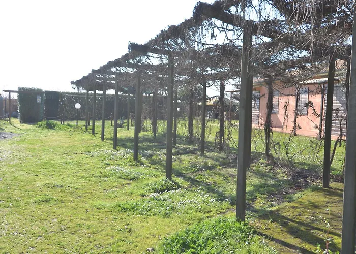Bernardinigroup Campiglia Marittima